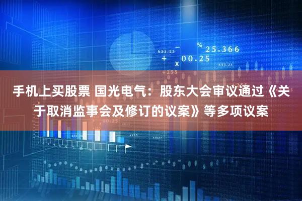 手机上买股票 国光电气：股东大会审议通过《关于取消监事会及修订的议案》等多项议案