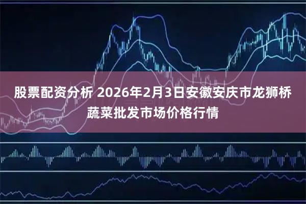 股票配资分析 2026年2月3日安徽安庆市龙狮桥蔬菜批发市场价格行情